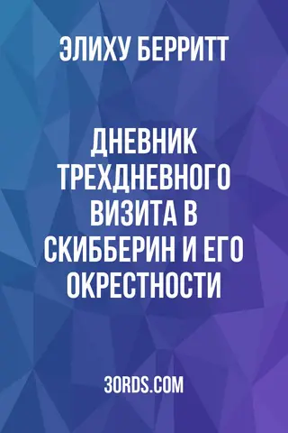 Обложка аудиокниги «Дневник трехдневного визита в Скибберин и его окрестности»
