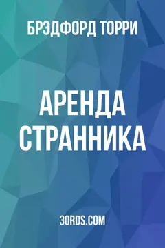 Обложка аудиокниги «Аренда странника»