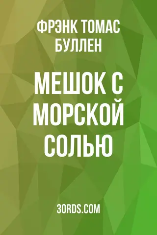 Обложка аудиокниги «Мешок с морской солью»