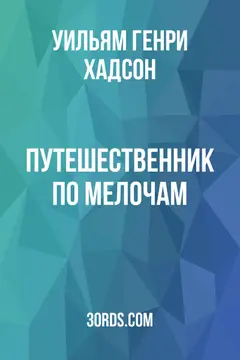 Обложка аудиокниги «Путешественник по мелочам»