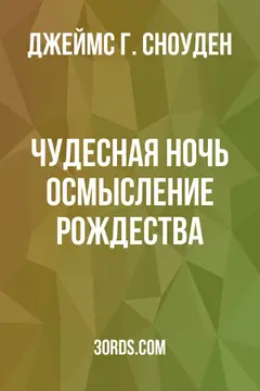 Обложка аудиокниги «Чудесная ночь: осмысление Рождества»