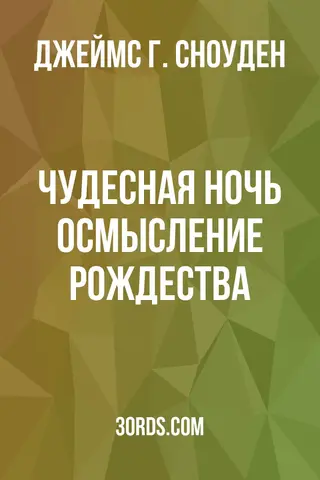 Обложка аудиокниги «Чудесная ночь: осмысление Рождества»