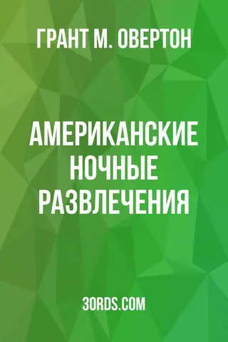 Обложка аудиокниги «Американские ночные развлечения»