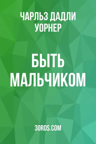Обложка аудиокниги «Быть мальчиком»