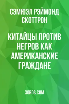Обложка аудиокниги «Китайцы против негров как американские граждане»