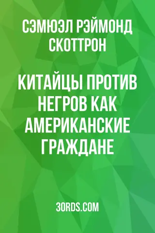 Обложка аудиокниги «Китайцы против негров как американские граждане»