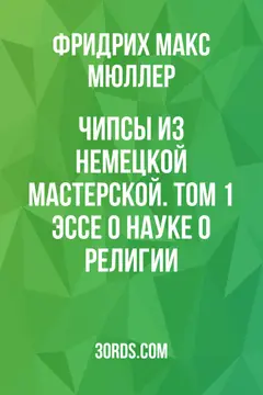 Обложка аудиокниги «Чипсы из немецкой мастерской. Том 1: Эссе о науке о религии»