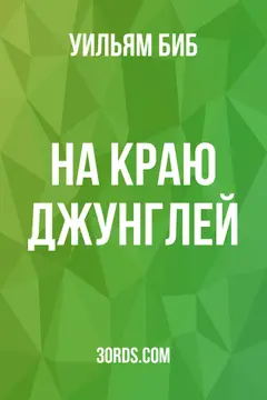 Обложка аудиокниги «На краю джунглей»