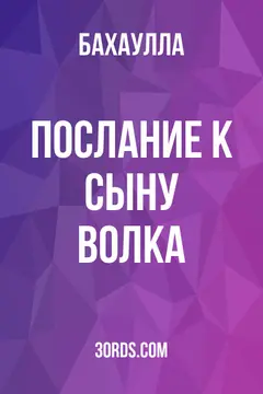Обложка аудиокниги «Послание к Сыну Волка»