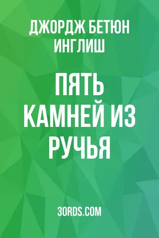 Обложка аудиокниги «Пять камней из ручья»
