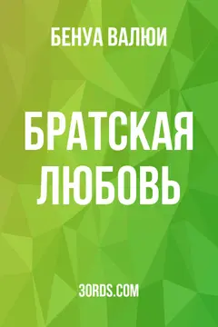 Обложка аудиокниги «Братская любовь»
