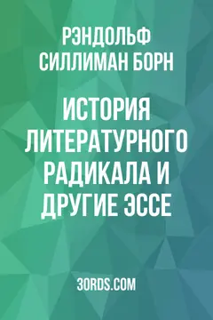 Обложка аудиокниги «История литературного радикала и другие эссе»