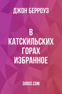 Обложка аудиокниги «В Катскильских горах: Избранное»