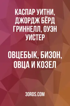 Обложка аудиокниги «Овцебык, бизон, овца и козел»