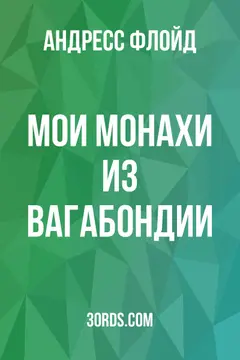 Обложка аудиокниги «Мои монахи из Вагабондии»