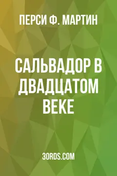 Обложка аудиокниги «Сальвадор в двадцатом веке»
