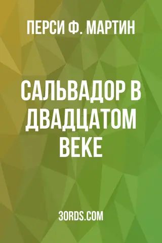 Обложка аудиокниги «Сальвадор в двадцатом веке»