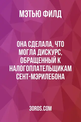 Обложка аудиокниги «Она сделала, что могла: Дискурс, обращенный к налогоплательщикам Сент-Мэрилебона»