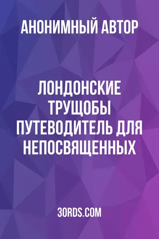 Обложка аудиокниги «Лондонские трущобы: Путеводитель для непосвященных»
