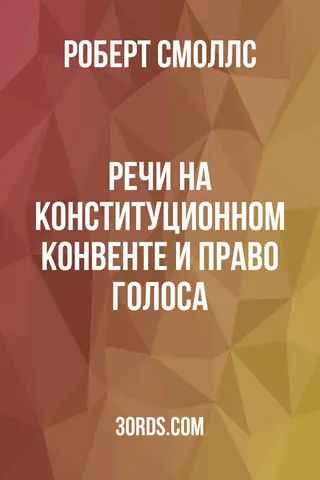 Обложка аудиокниги «Речи на Конституционном конвенте и право голоса»
