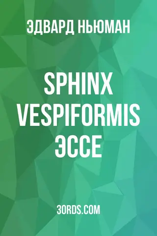 Обложка аудиокниги «Sphinx Vespiformis: Эссе»