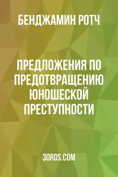 Обложка аудиокниги «Предложения по предотвращению юношеской преступности»