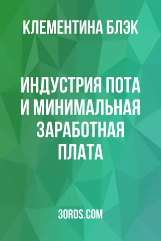 Обложка аудиокниги «Индустрия пота и минимальная заработная плата»