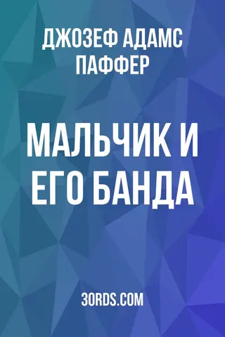 Обложка аудиокниги «Мальчик и его банда»