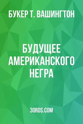 Обложка аудиокниги «Будущее американского негра»