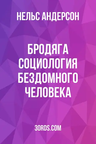 Обложка аудиокниги «Бродяга: Социология бездомного человека»