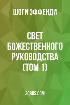 Обложка аудиокниги «Свет Божественного руководства (Том 1)»
