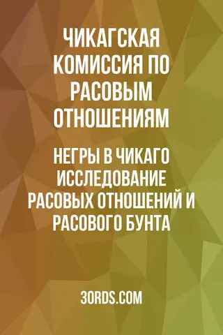 Обложка аудиокниги «Негры в Чикаго: исследование расовых отношений и расового бунта»
