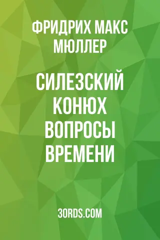 Обложка аудиокниги «Силезский конюх: Вопросы времени»