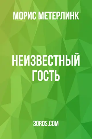 Обложка аудиокниги «Неизвестный гость»