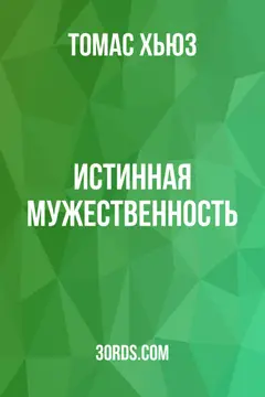 Обложка аудиокниги «Истинная мужественность»